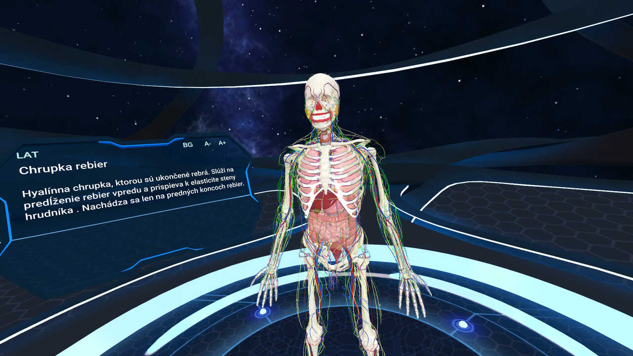 Human Anatomy VR sur PS4 PSSurf